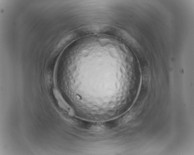 X0000071930119200607141410