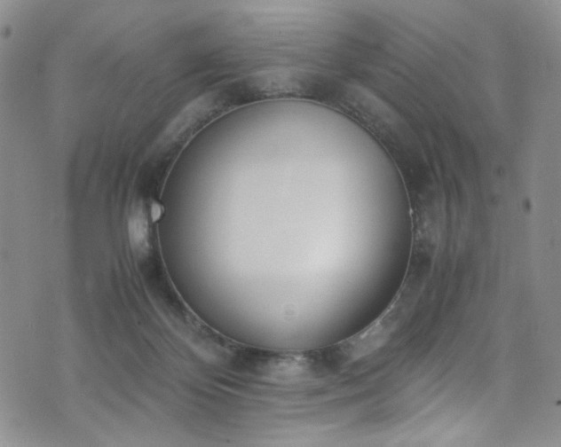 X0000071930124200607141410