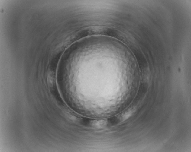 X0000071930135200607141410