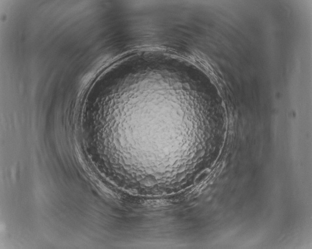 X0000071930145200607141409