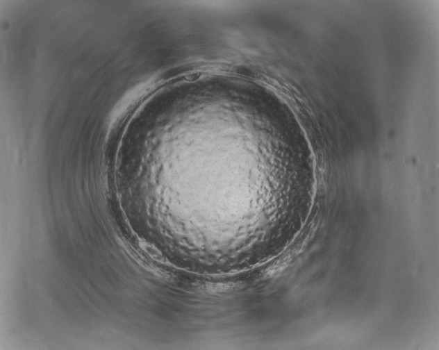 X0000071930149200607141409