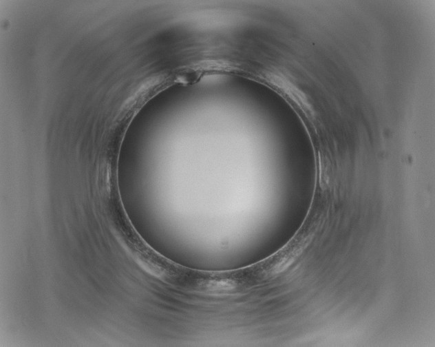 X0000071930157200607141409