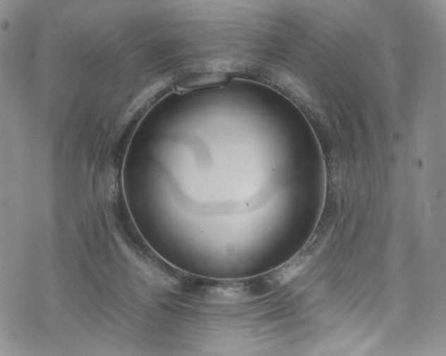 X0000071930164200607141409