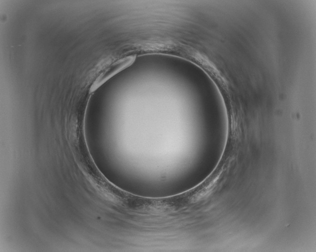 X0000071930201200607141409