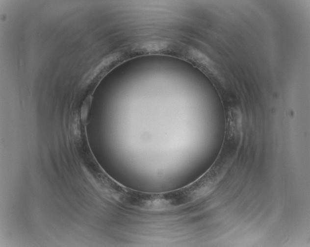 X0000071930212200607141408