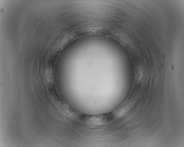 X0000071930236200607141408
