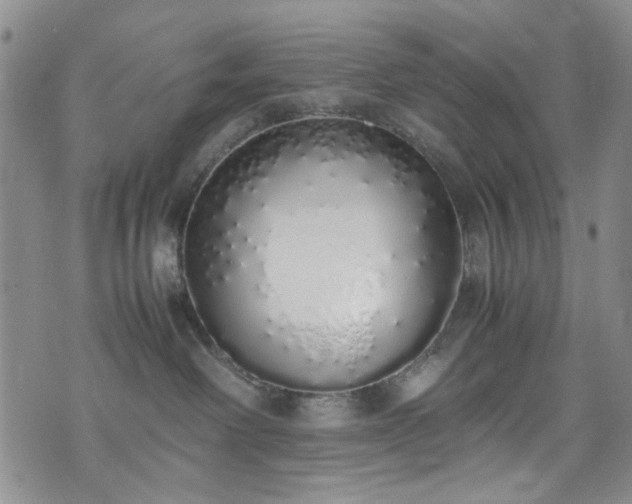 X0000071930238200607141408