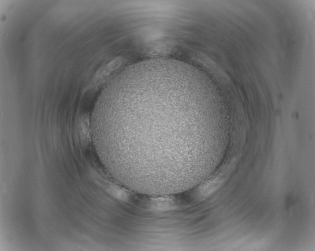 X0000071930240200607141408