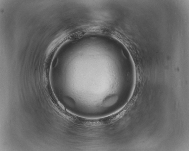 X0000071930245200607141407