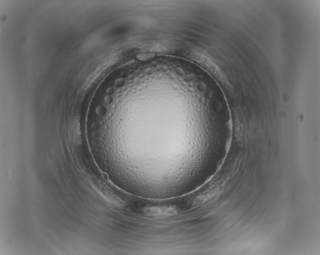 X0000071930251200607141407