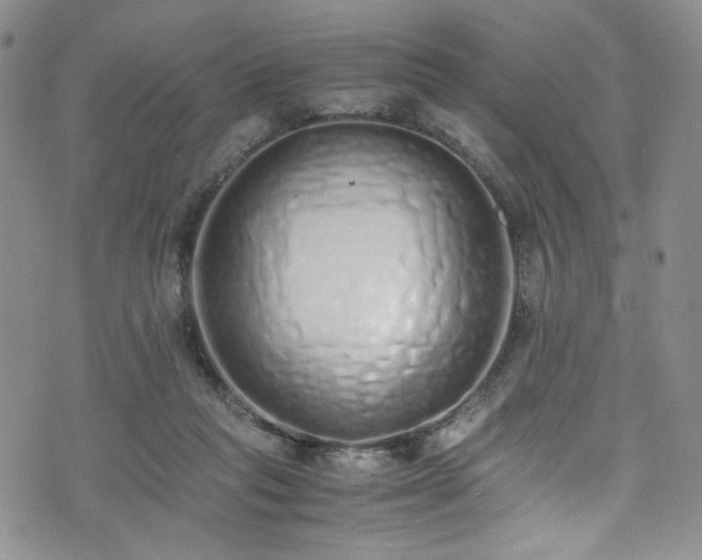 X0000071930261200607141407
