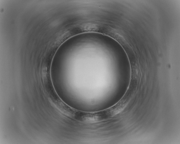 X0000071930263200607141407