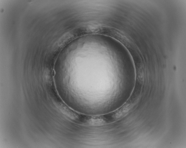 X0000071930270200607141408