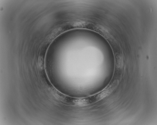 X0000071930273200607141408