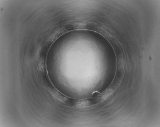 X0000071930274200607141408