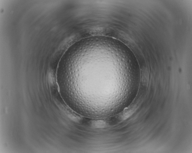 X0000071930287200607141408