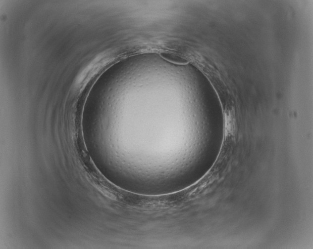 X0000071930291200607141407