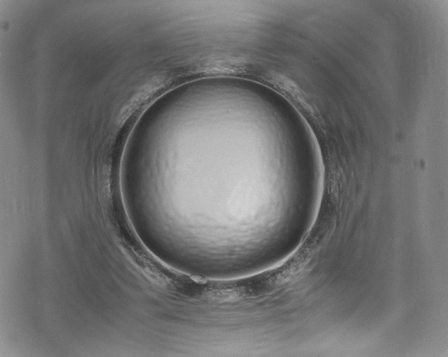 X0000071930299200607141407
