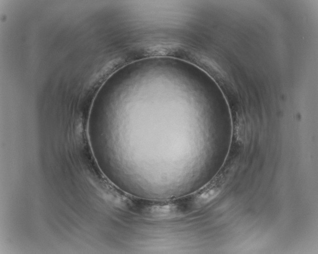 X0000071930314200607141407
