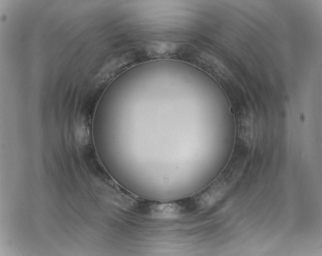 X0000071930324200607141407