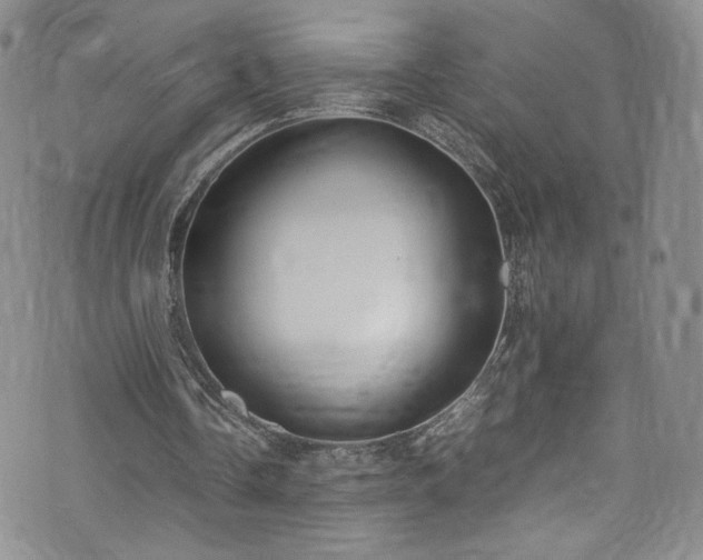 X0000071930338200607141406