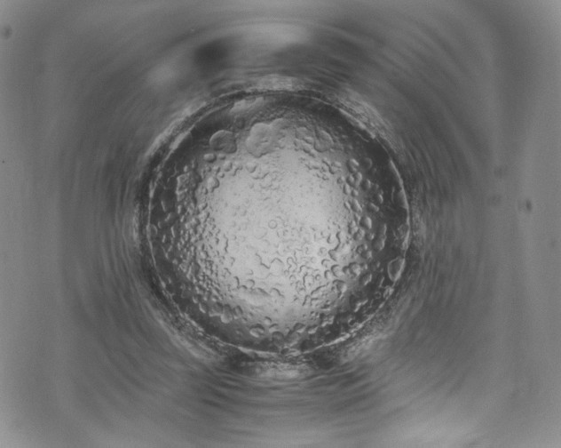 X0000071930347200607141406