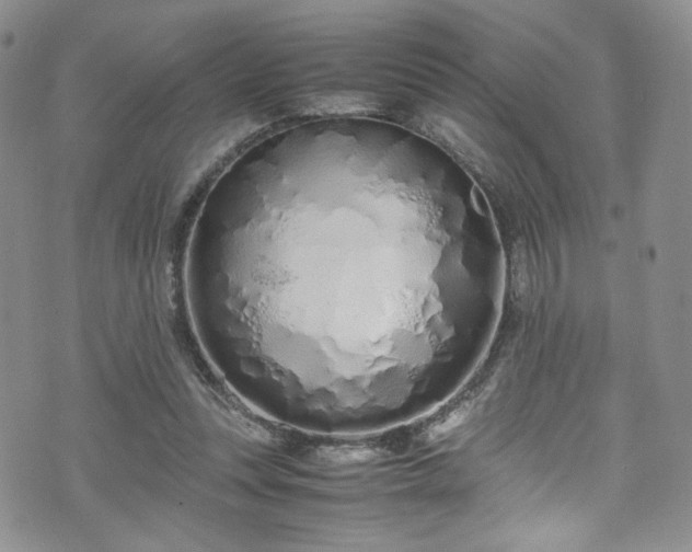 X0000071930351200607141406