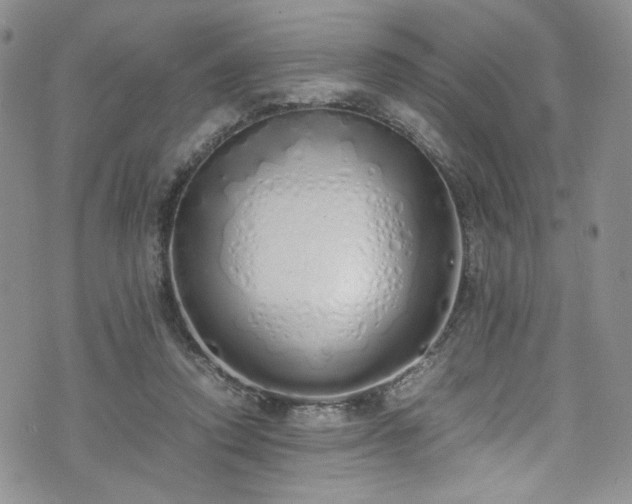 X0000071930354200607141406