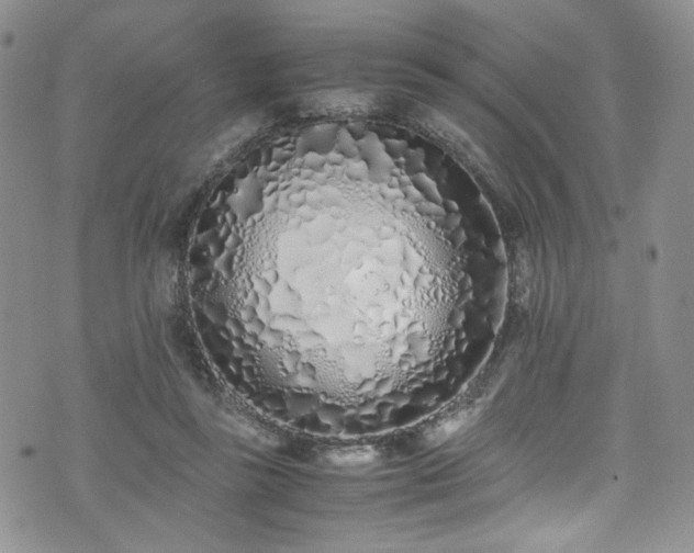 X0000071930355200607141406