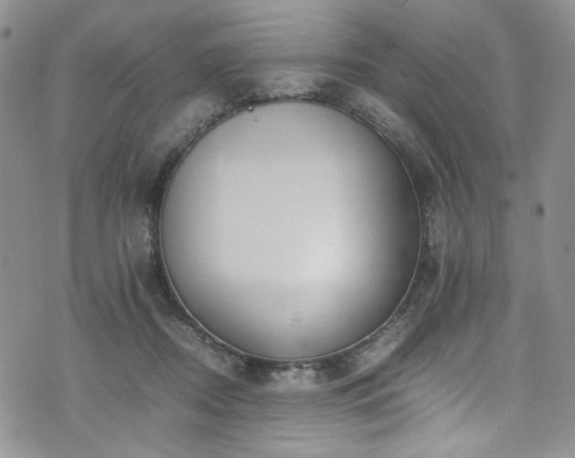 X0000071930362200607141406