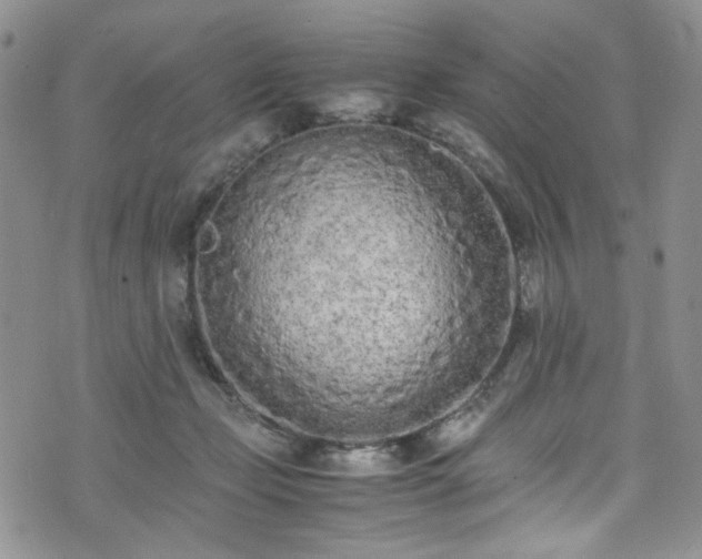 X0000071930365200607141406