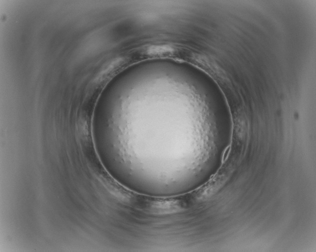 X0000071930375200607141406
