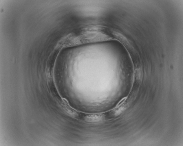X0000071930381200607141406
