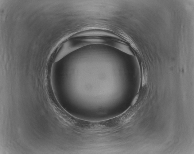 X0000071930387200607141405