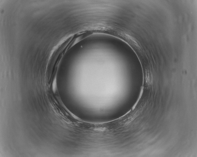 X0000071930388200607141405