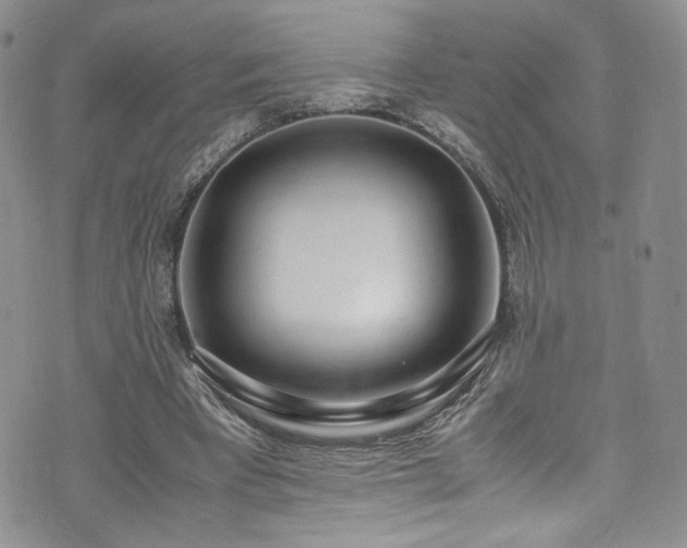 X0000071930393200607141405