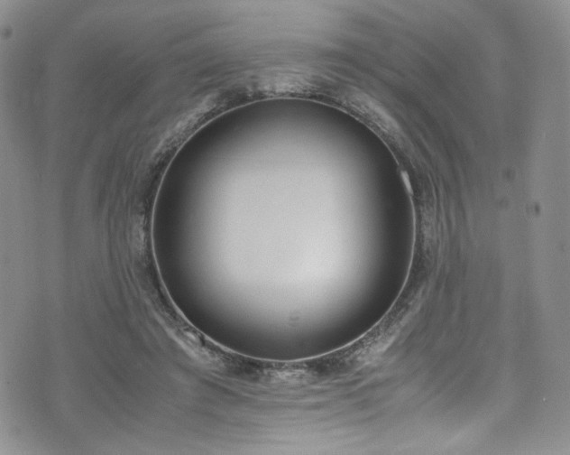 X0000071930401200607141405