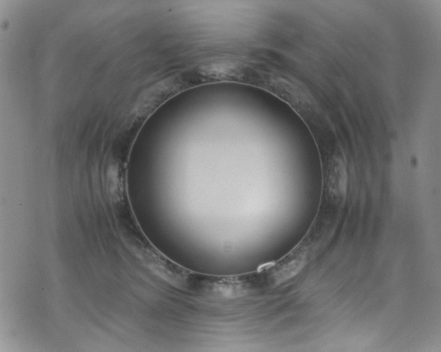 X0000071930420200607141405