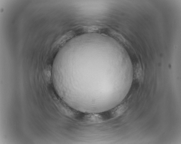 X0000071930427200607141405
