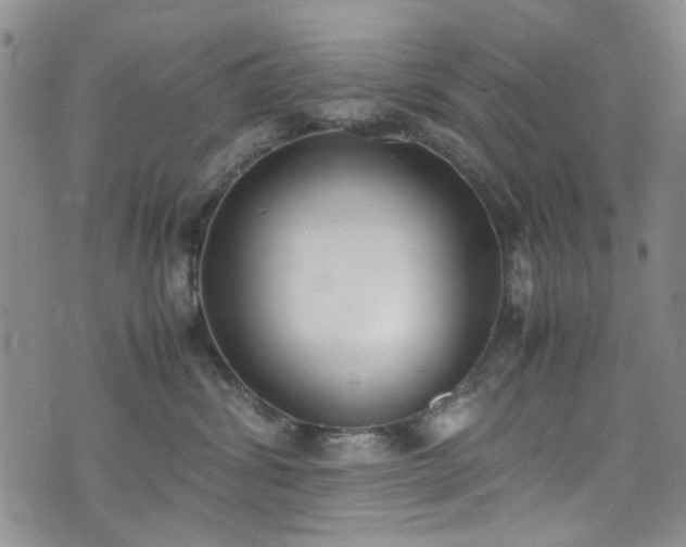 X0000071930428200607141405
