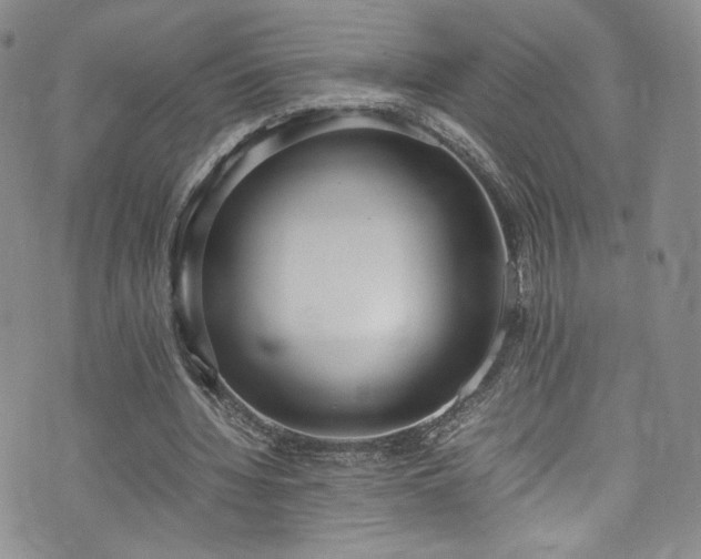 X0000071930436200607141404