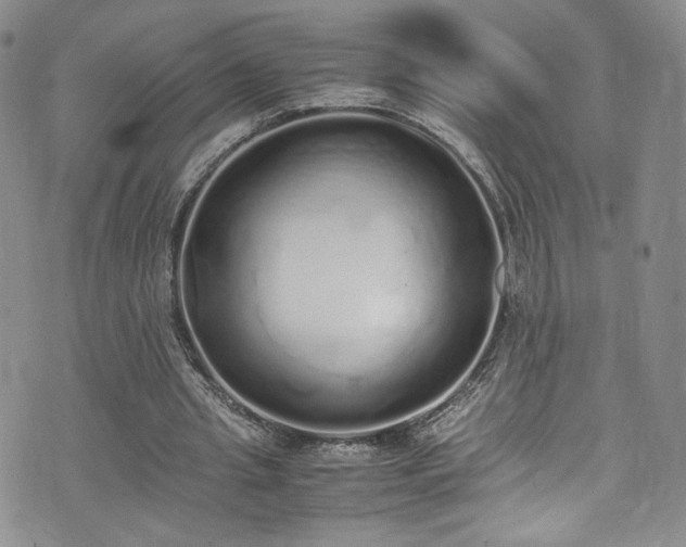 X0000071930437200607141404