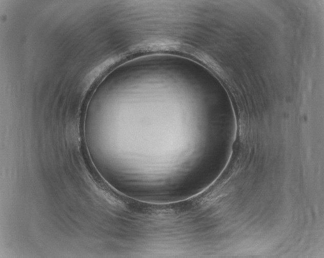 X0000071930438200607141404