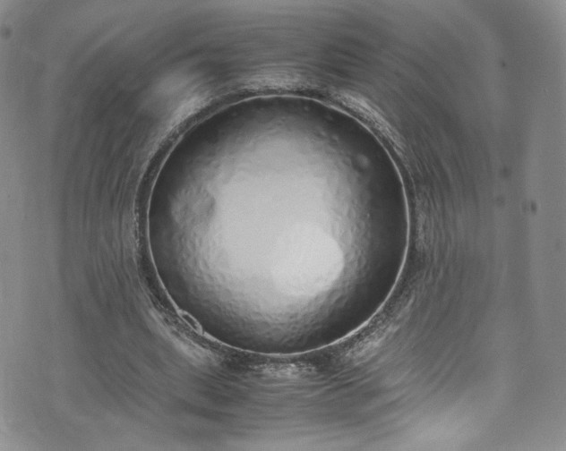 X0000071930439200607141404