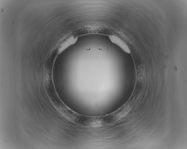 X0000071930456200607141404