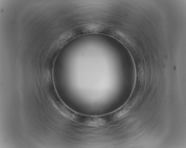 X0000071930459200607141404