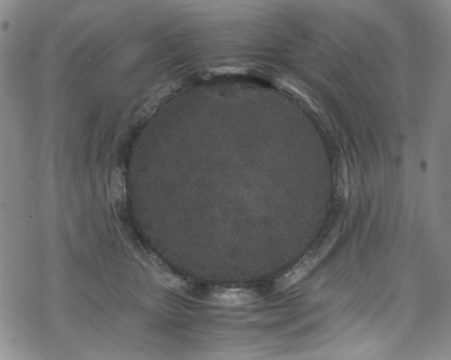 X0000071930467200607141405