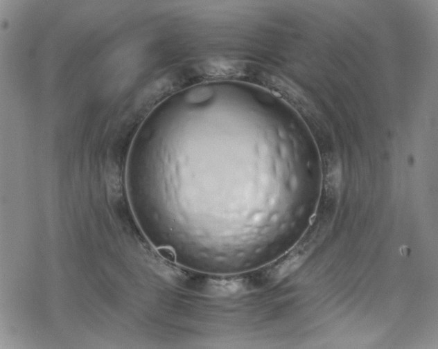 X0000071930469200607141405
