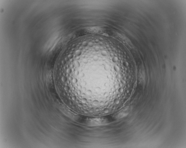 X0000071930473200607141405