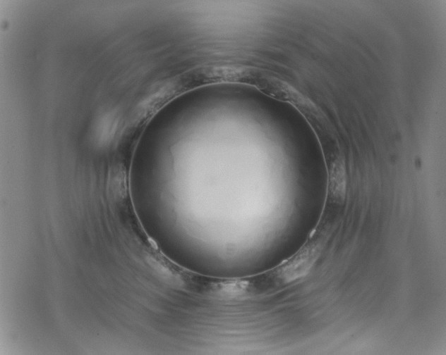 X0000071930474200607141405